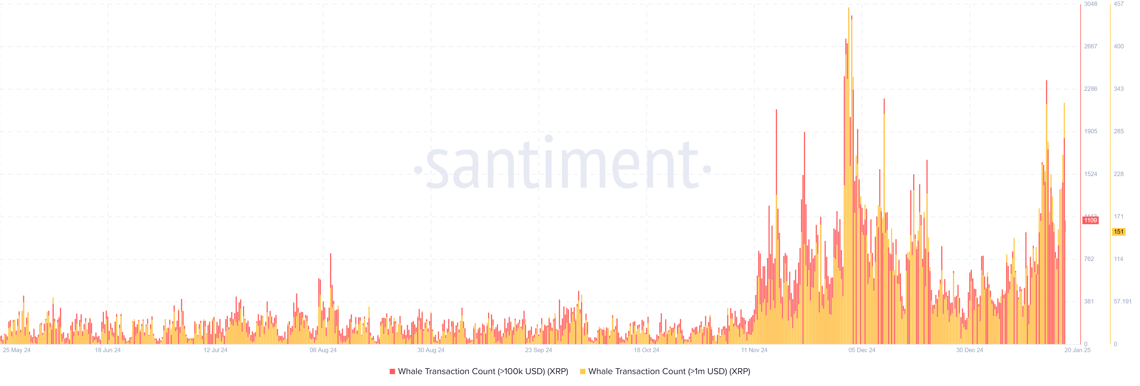 XRP Whale Transactions